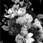 Blackflowers13